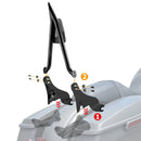 Harley Touring Road King Road Glide Fat Bar 1.3" Quick Detachable Passenger Backrest Sissy Bar - Mofun - 90302098